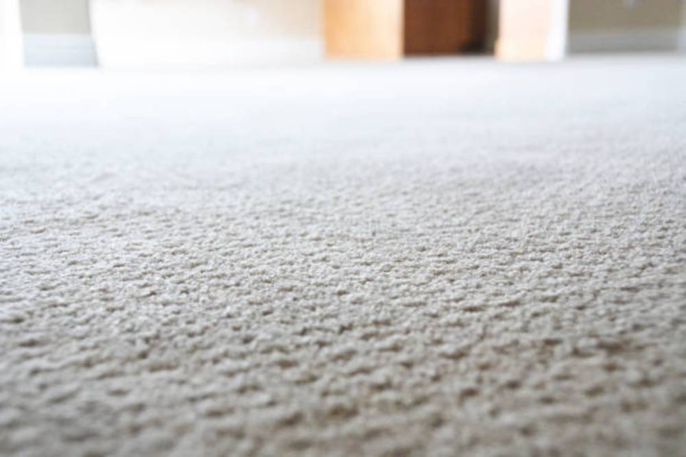 Carpet: Sleek, Durable, and Easy to Clean